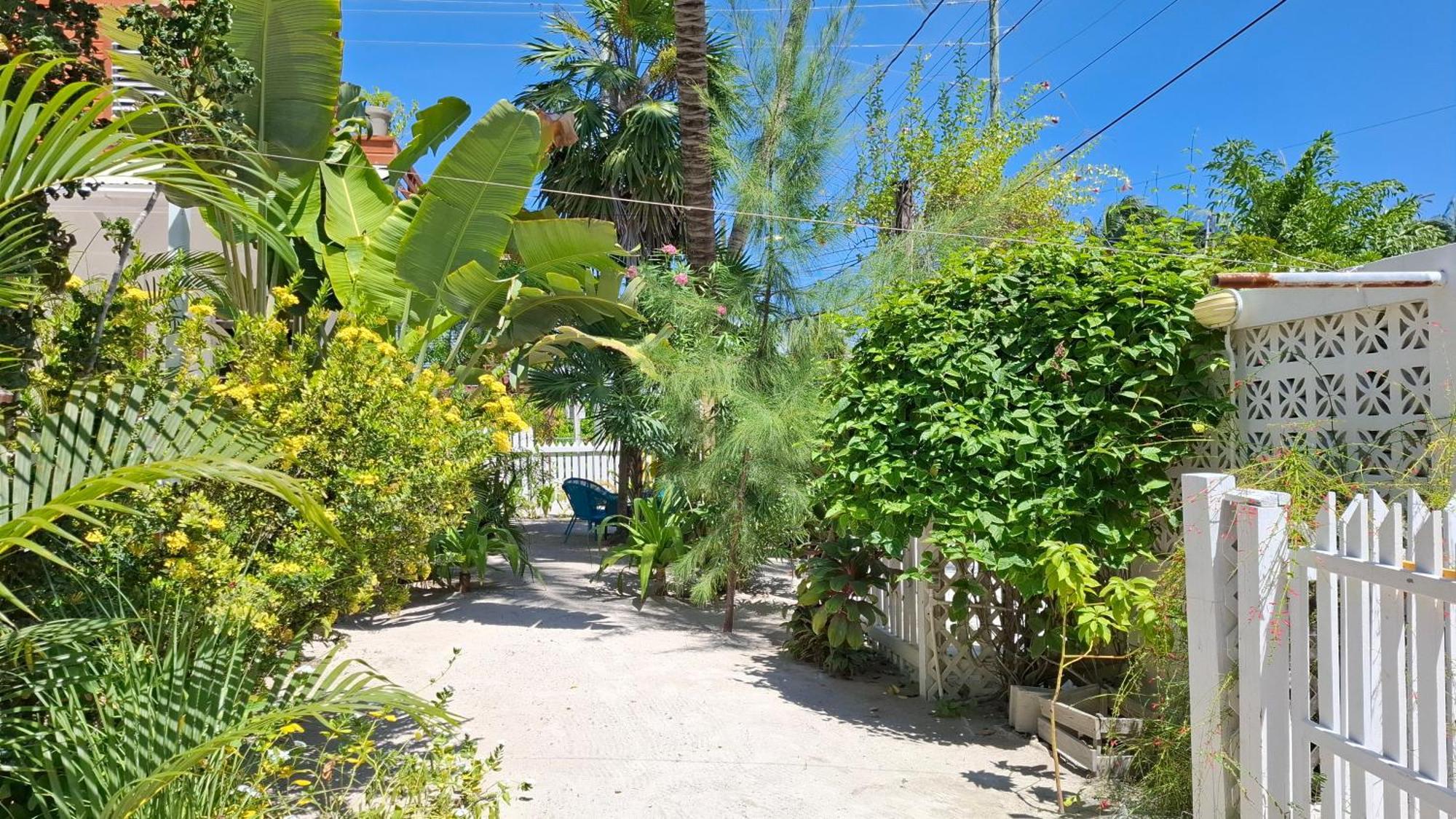 Amanda'S Place Casa Amancer - Sea View, Pool And Tropical Garden Caye Caulker Exteriér fotografie