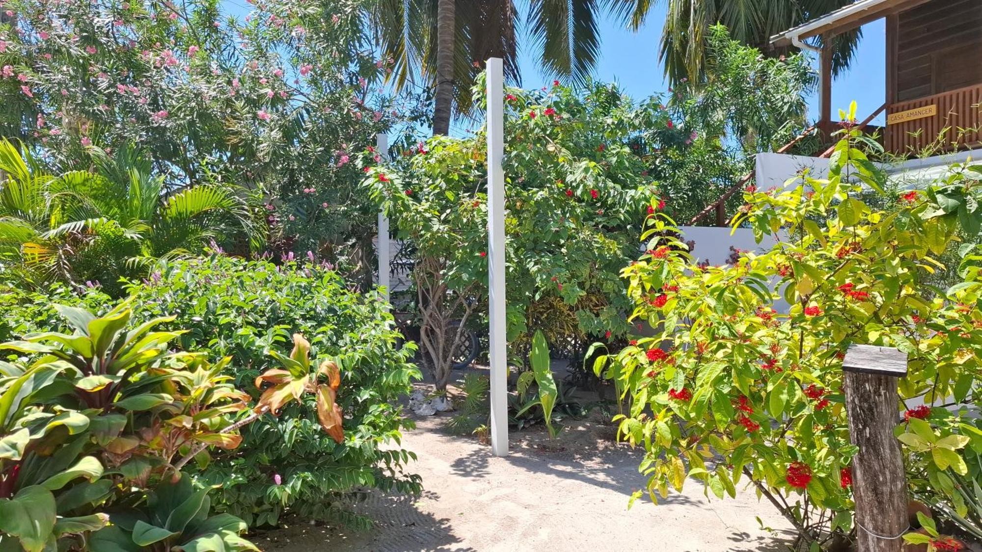 Amanda'S Place Casa Amancer - Sea View, Pool And Tropical Garden Caye Caulker Exteriér fotografie